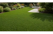 pelouse synthétique Layka 35mm - 1m x 5m