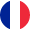 Français (French)